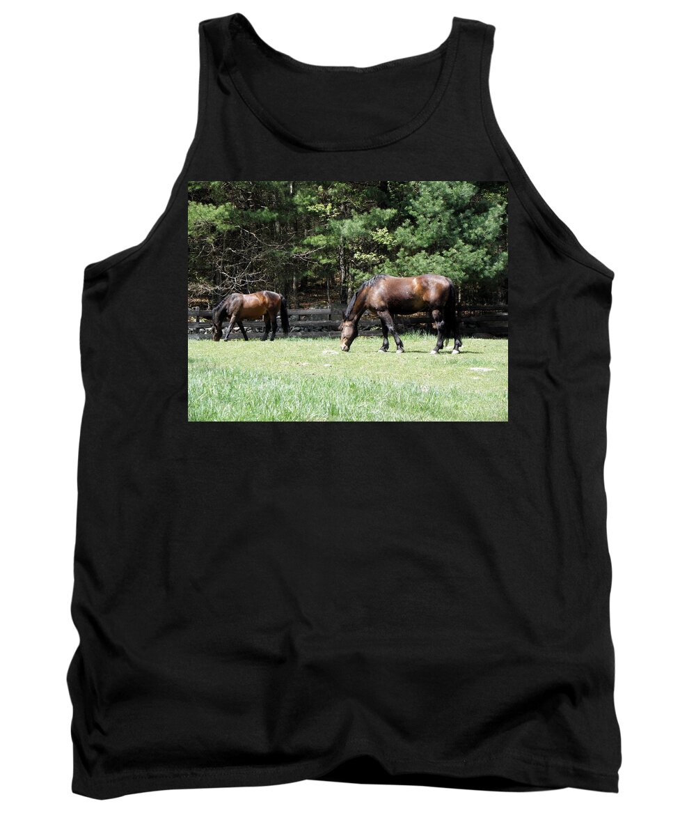 Horse Photography Tank Top featuring the photograph Beautiful Geldings Grazing by Kim Galluzzo