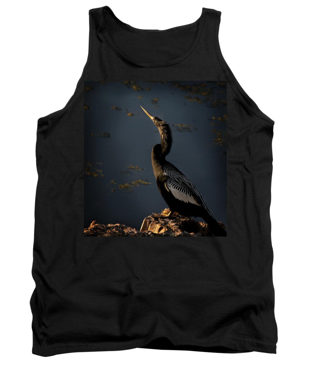 Bird Tank Top featuring the photograph Black Light by Steven Sparks