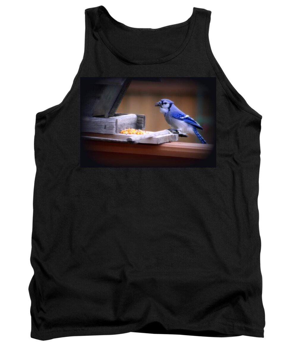 Beautiful Tank Top featuring the photograph Blue Jay On Backyard Feeder by Kay Novy