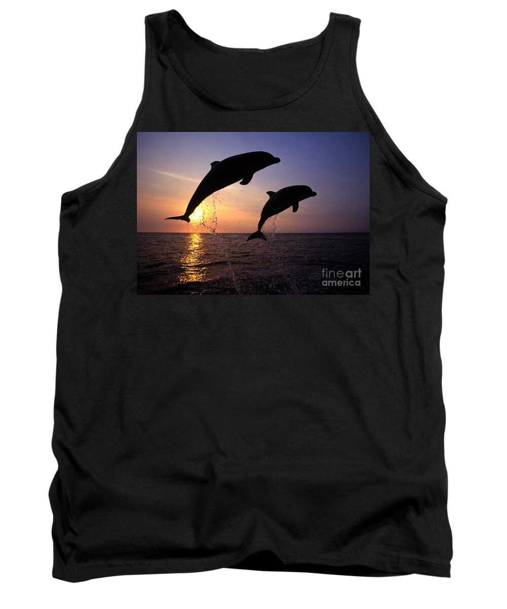 Cetacean Tank Top featuring the photograph Bottlenose Dolphins by Francois Gohier and Photo Researchers