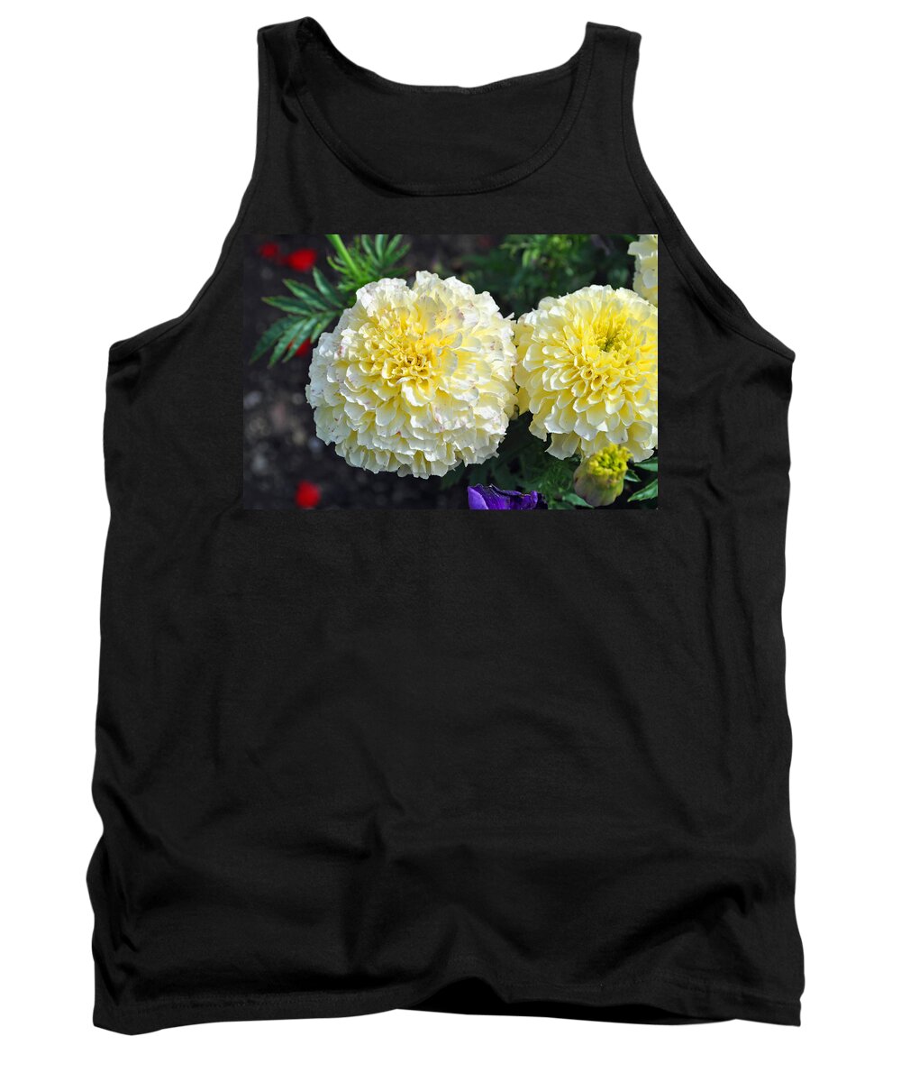 Bloom Tank Top featuring the photograph Carnations by Tikvah's Hope