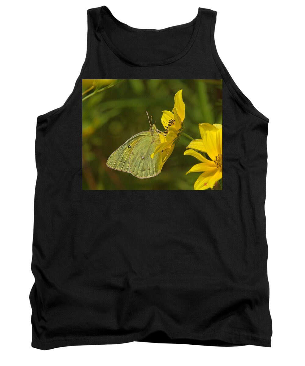 Nature Tank Top featuring the photograph Clouded Sulphur Butterfly DIN099 by Gerry Gantt