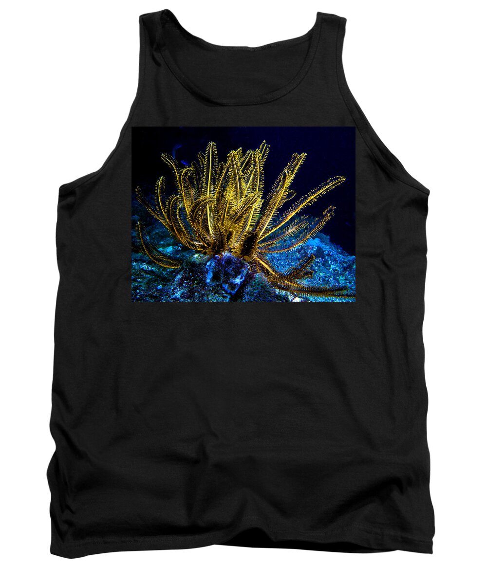 Glowing Crinoid Tank Top featuring the photograph Glowing Crinoid by Jean Noren