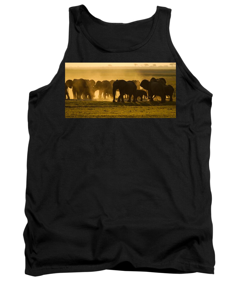 Action Tank Top featuring the photograph Gold dust gathering by Alistair Lyne