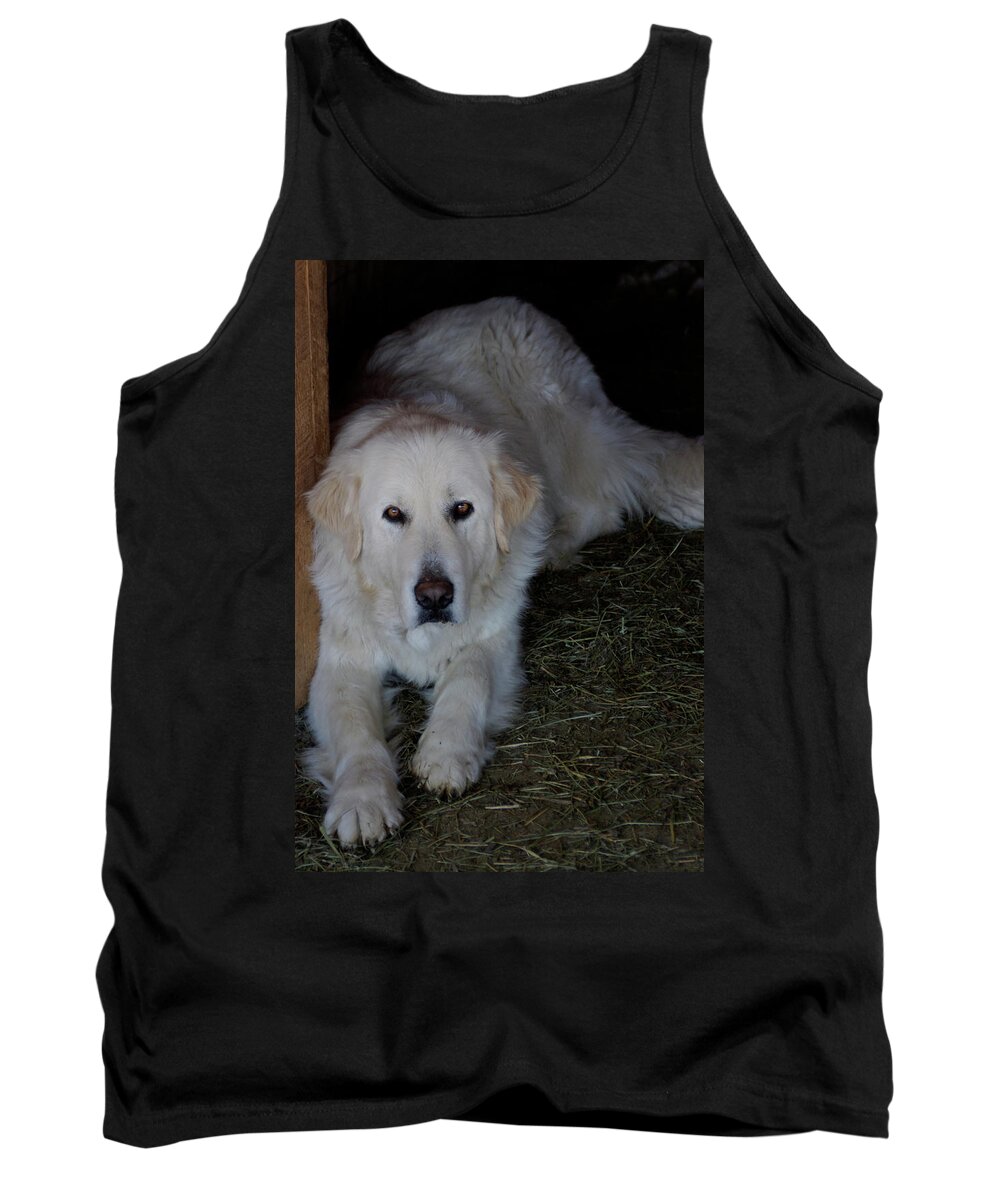 Dog Tank Top featuring the photograph Guarding the Barn by Charles and Melisa Morrison