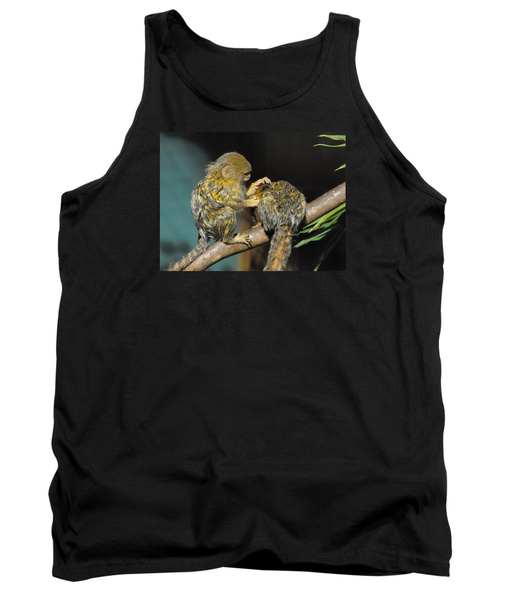 Pygmy Marmoset Tank Top featuring the photograph Helping Hand by Marlene Challis