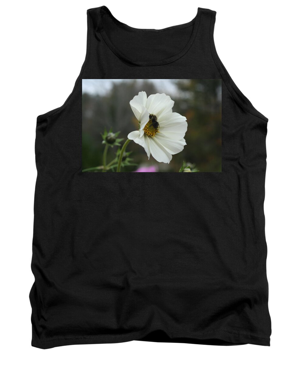 Hiding Tank Top featuring the photograph Hiding by Barbara S Nickerson