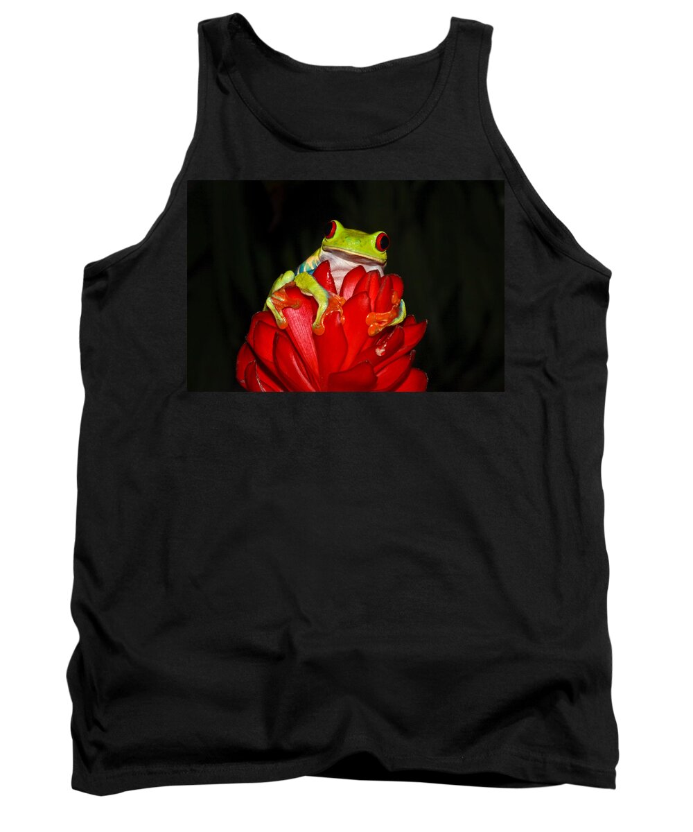 Frog Tank Top featuring the photograph Holding On by Tom and Pat Cory