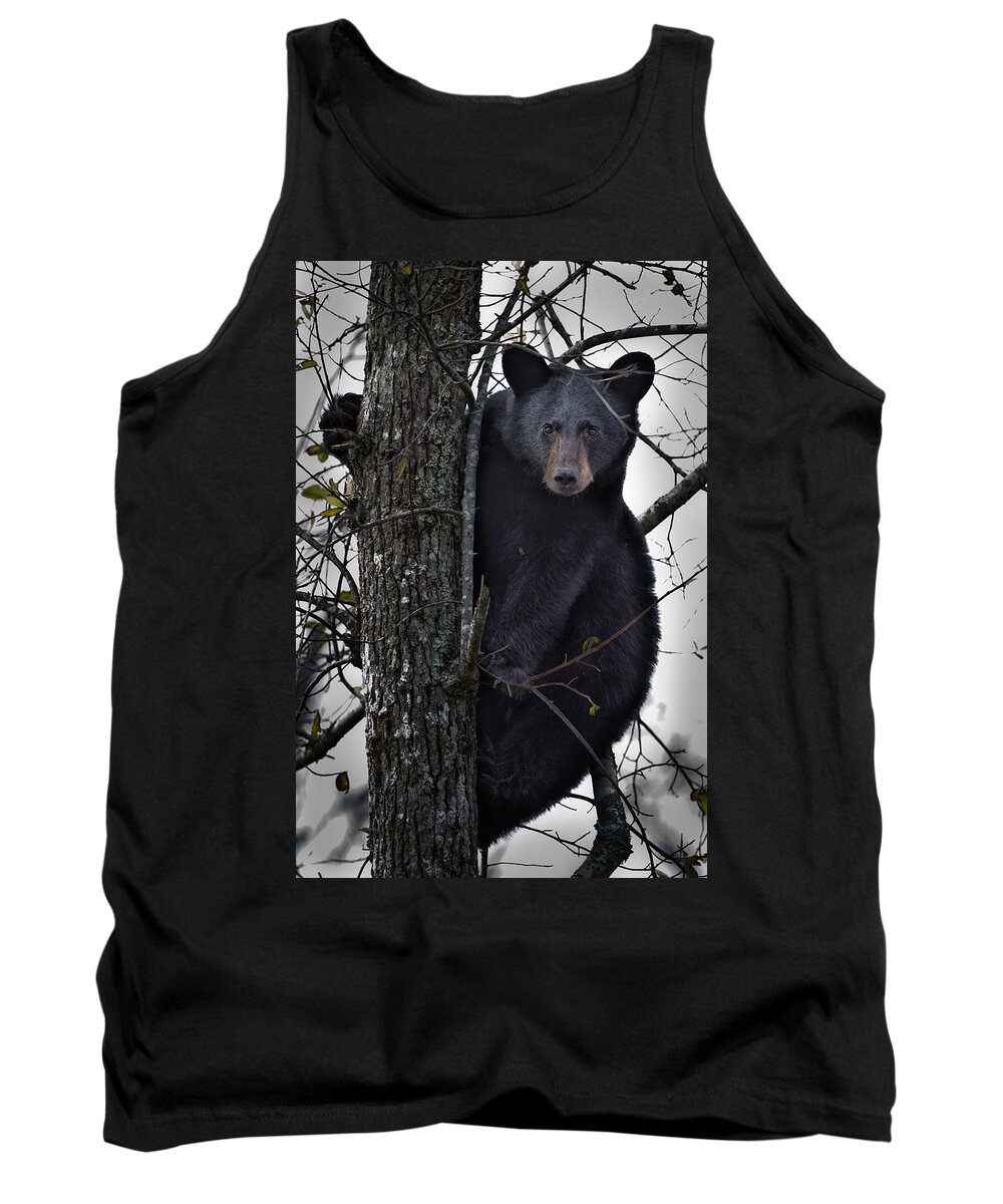 Bear Tank Top featuring the photograph Hunting Berries by Ronald Lutz