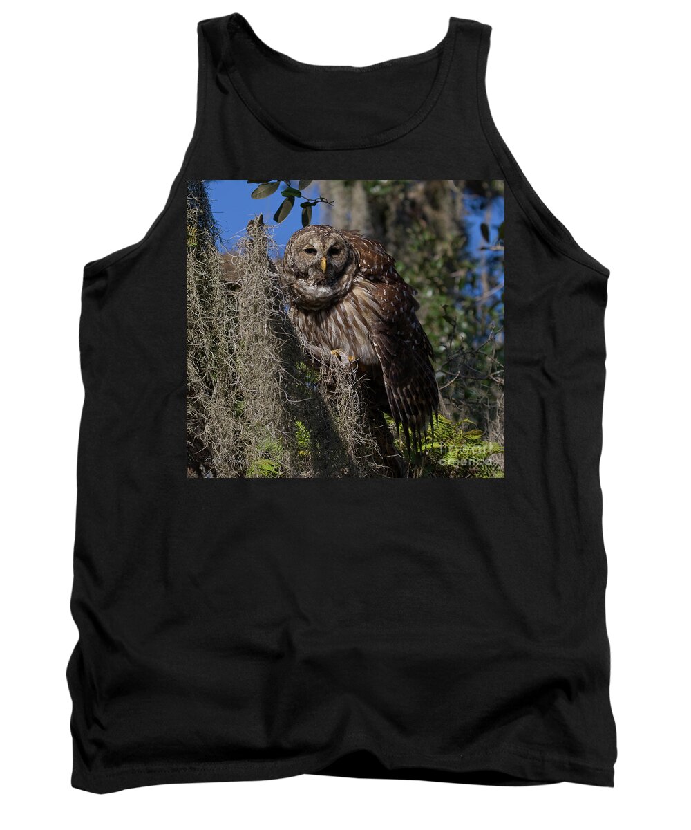 Barred Owl Tank Top featuring the photograph I See You by Sue Karski