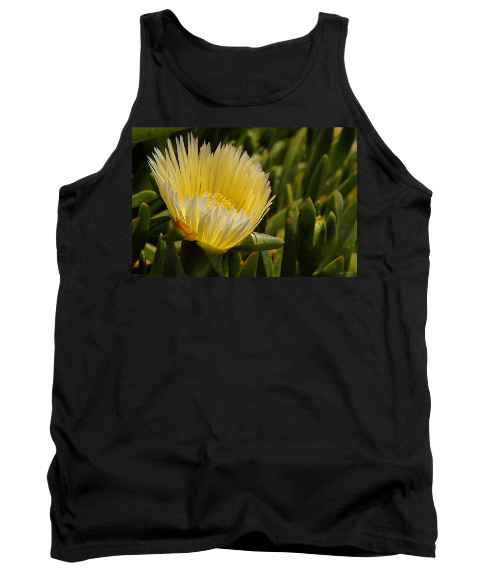 Central Coast Tank Top featuring the photograph Ice Plant Bloom by Mick Anderson