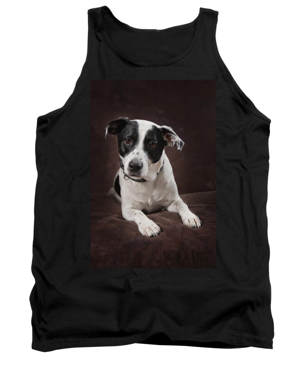 Brown Background Tank Top featuring the photograph Jack Russell Terrier On A Brown Studio by Corey Hochachka