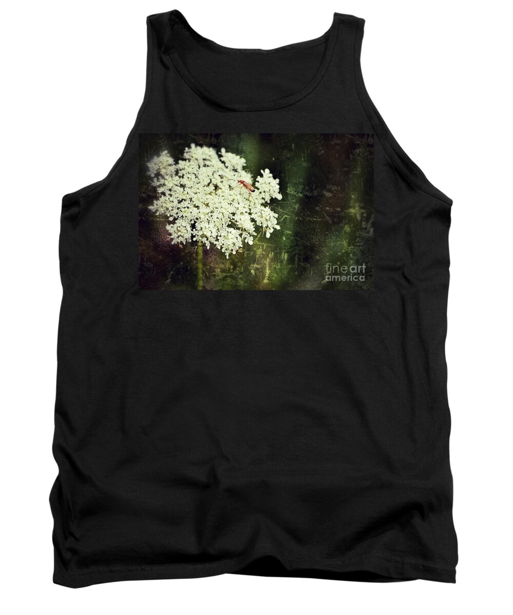 Queen Annes Lace Tank Top featuring the photograph Lacy Anne by Traci Cottingham