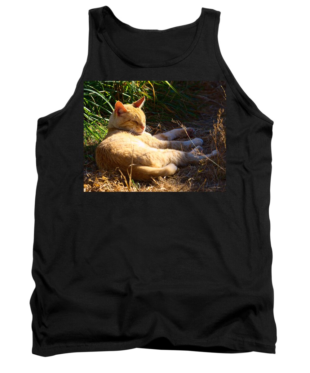 Cat Tank Top featuring the photograph Napping Orange Cat by Chriss Pagani