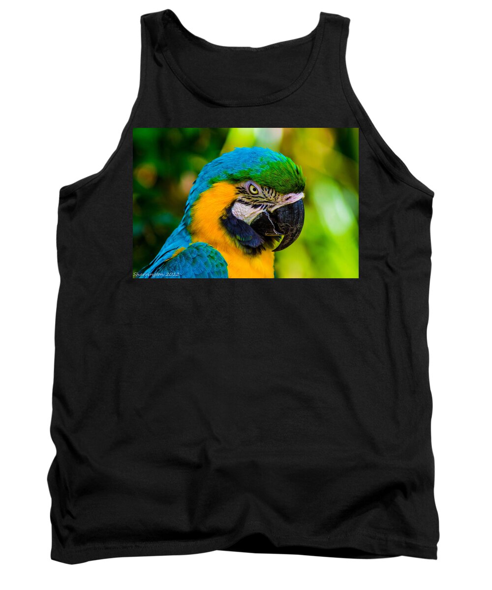 Parrots Tank Top featuring the photograph No more crakers by Shannon Harrington