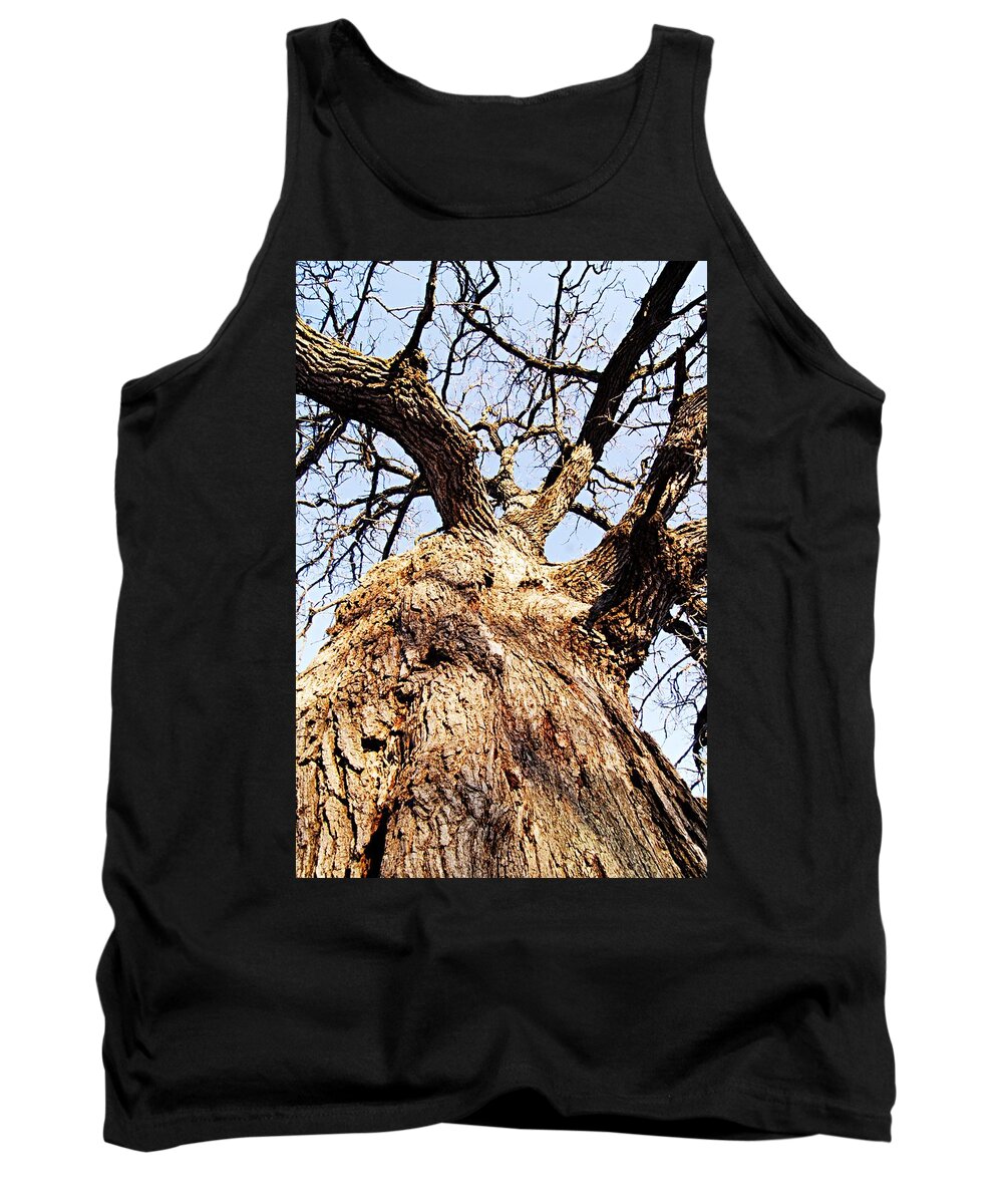 Nature Tank Top featuring the photograph Oak Tree by Larry Ricker