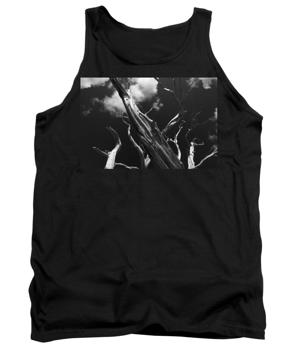 Tree Tank Top featuring the photograph Old Tree by David Gleeson