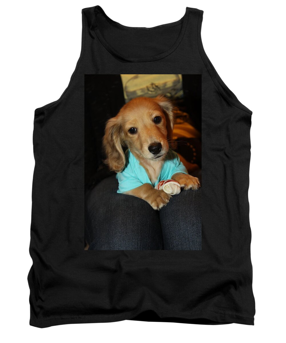 Puppy Tank Top featuring the photograph Precious Puppy by Diana Haronis