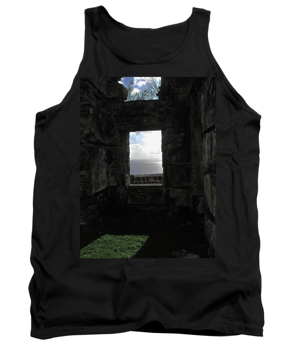 Brimstone Tank Top featuring the photograph Room With A Seaview by Ian MacDonald