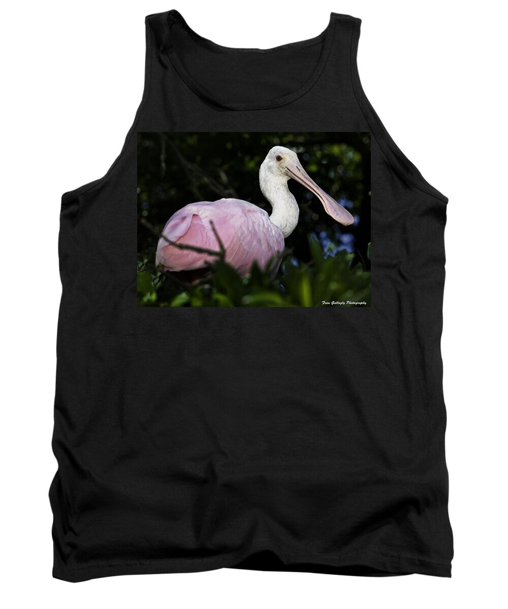 Bird Tank Top featuring the photograph Roseate Spoonbill by Fran Gallogly