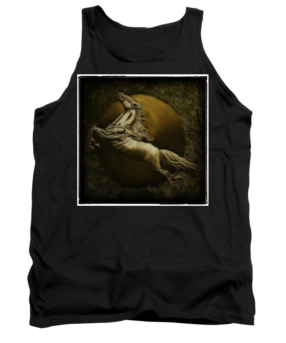 Interiors Tank Top featuring the photograph Silver by Jerry Golab