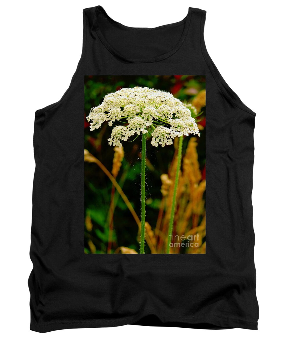 Queen Anne's Lace Tank Top featuring the photograph Spider Web Umbrella by Rory Siegel