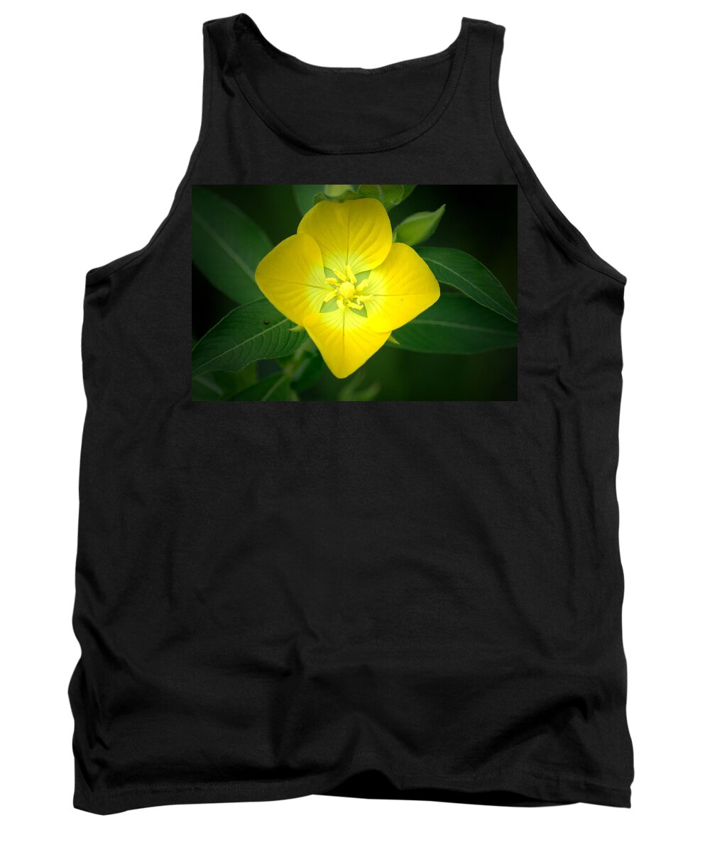 Flower Tank Top featuring the photograph Symmetry by David Weeks
