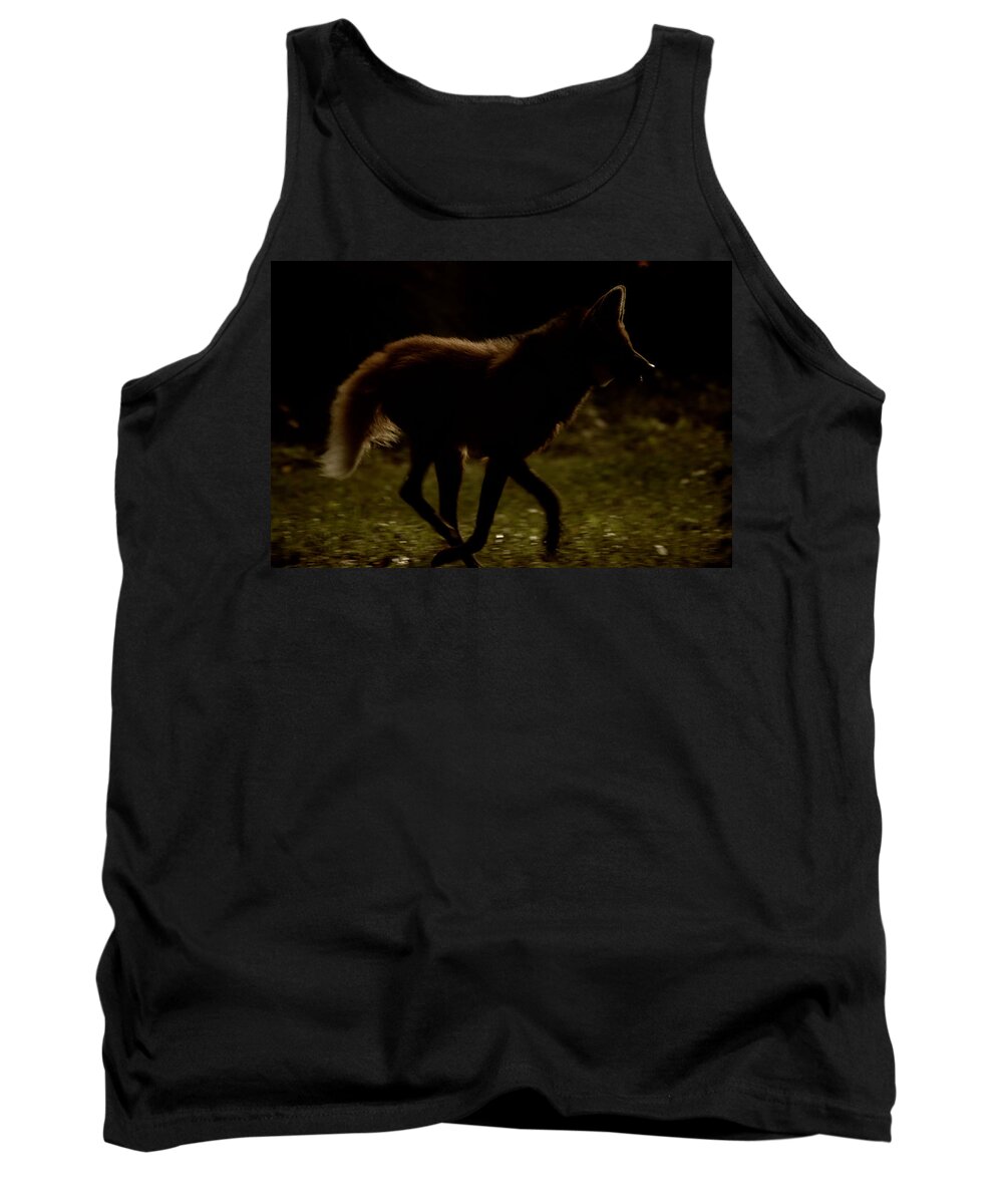 Wolf Tank Top featuring the photograph The Dark Side by Karol Livote