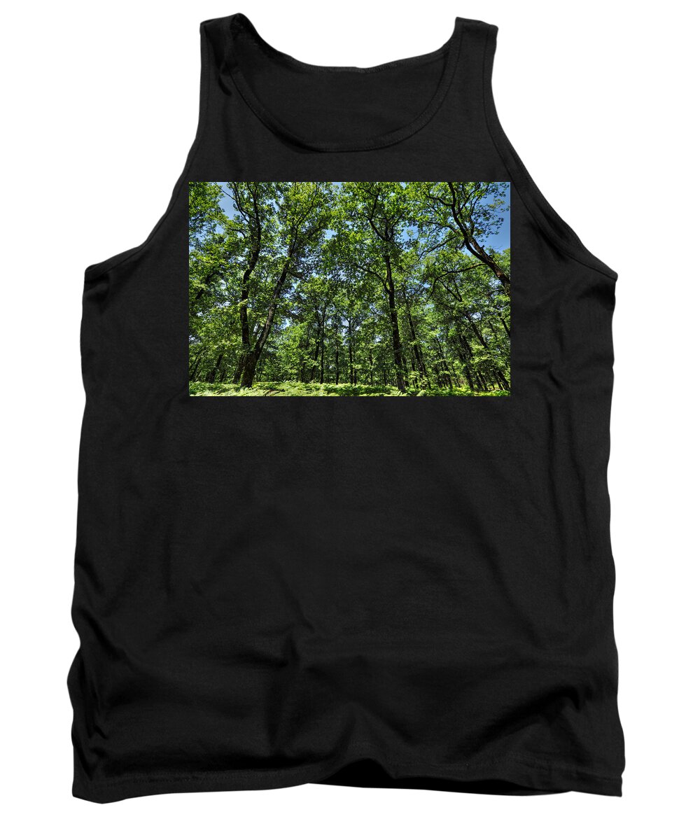 Background Tank Top featuring the photograph The forest of Foloi - Greece by Constantinos Iliopoulos