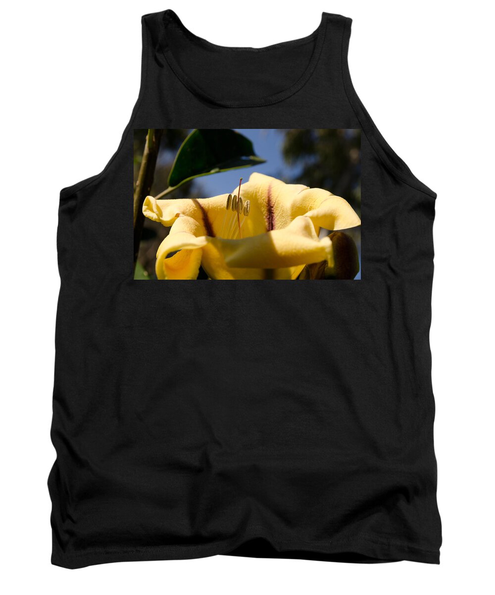 Agricultural Tank Top featuring the photograph The new seeds by Michael Goyberg