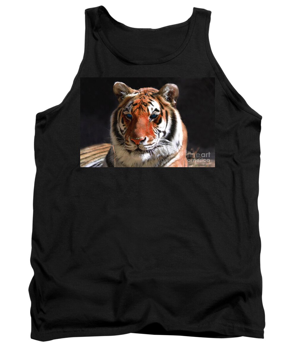 Tiger Tank Top featuring the photograph Tiger Blue Eyes by Rebecca Margraf