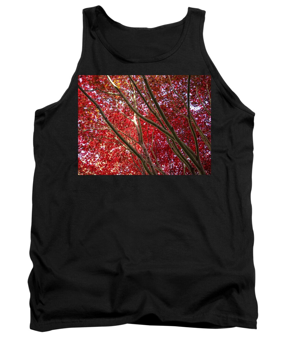 Trees Tank Top featuring the photograph Under A Red Canopy by Donna Blackhall