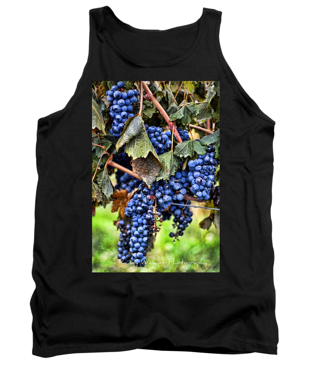 Grape Tank Top featuring the photograph Vines and Clusters by Randy Wehner
