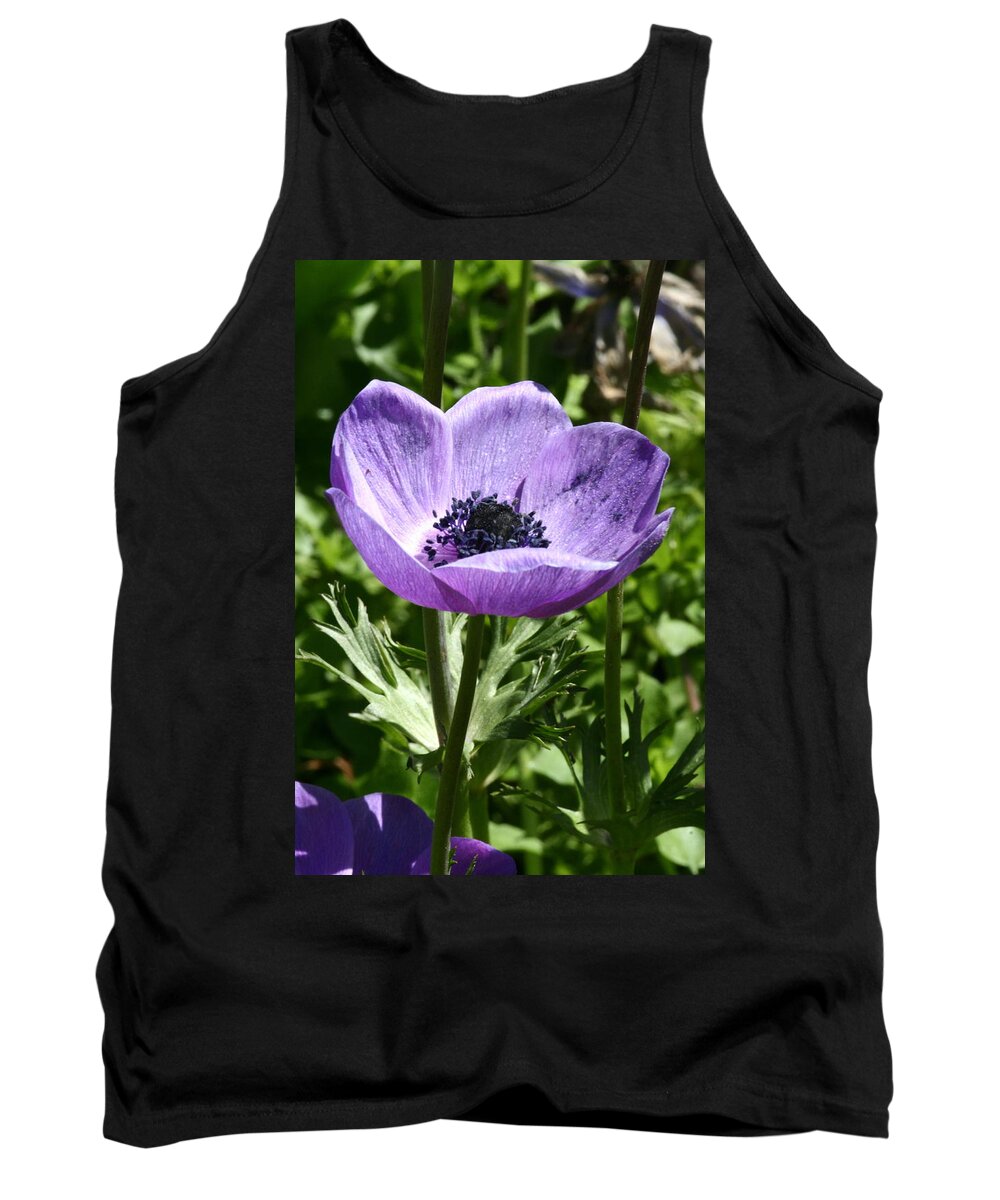 Violet Tank Top featuring the photograph Violet Peace by Laddie Halupa