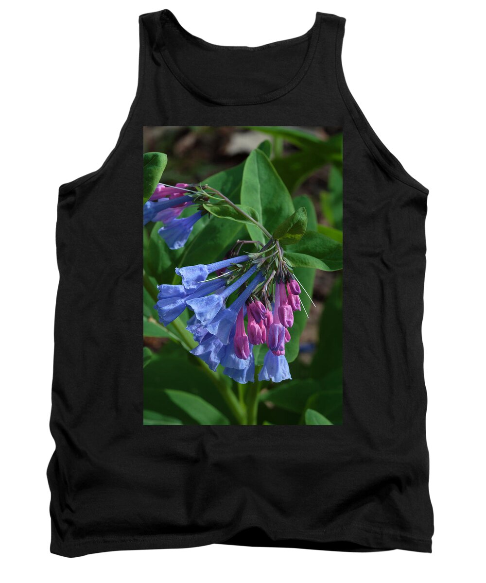 Flower Tank Top featuring the photograph Virginia Bluebells by Daniel Reed