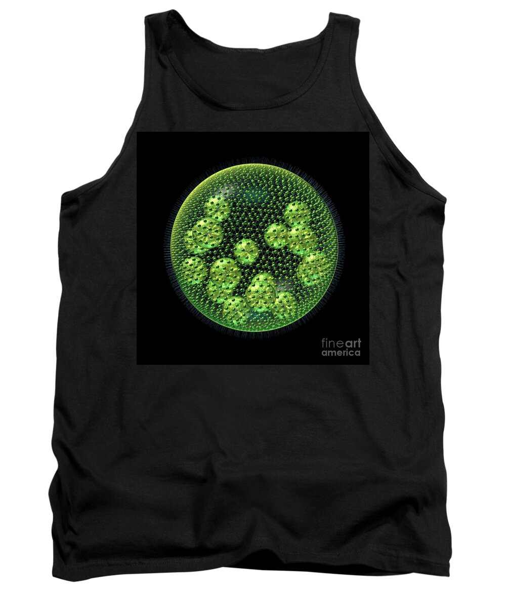 Algae Tank Top featuring the digital art Volvox by Russell Kightley