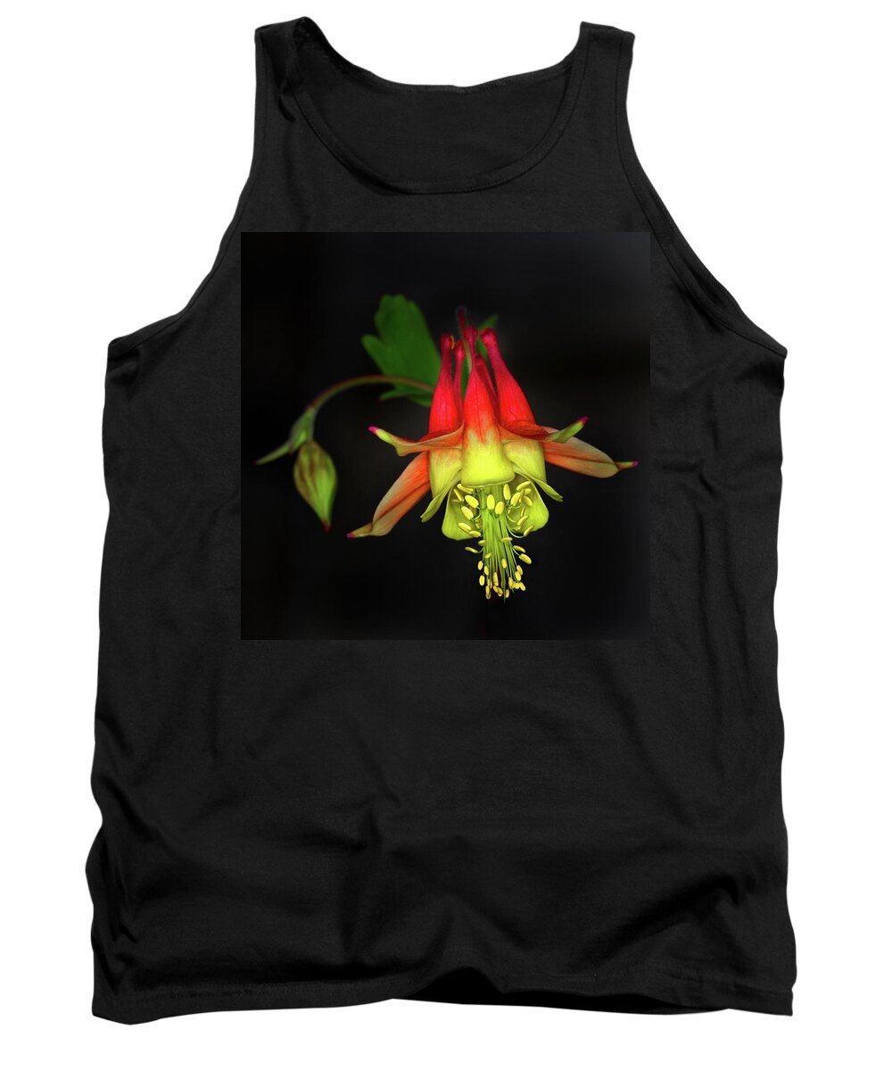 Colombine Tank Top featuring the photograph Columbine #2 by Jamieson Brown