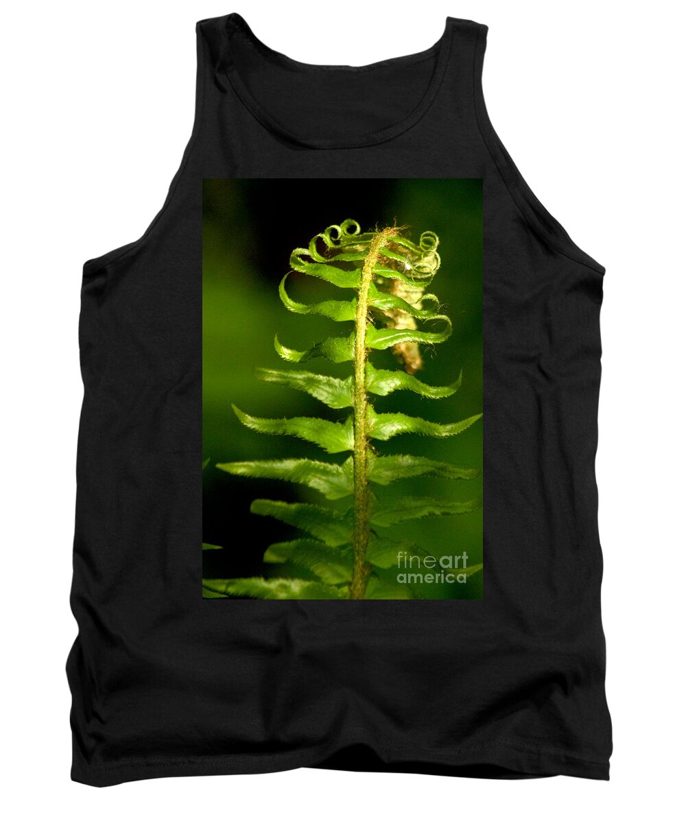 Photography Tank Top featuring the photograph A Light in the Forest #1 by Sean Griffin