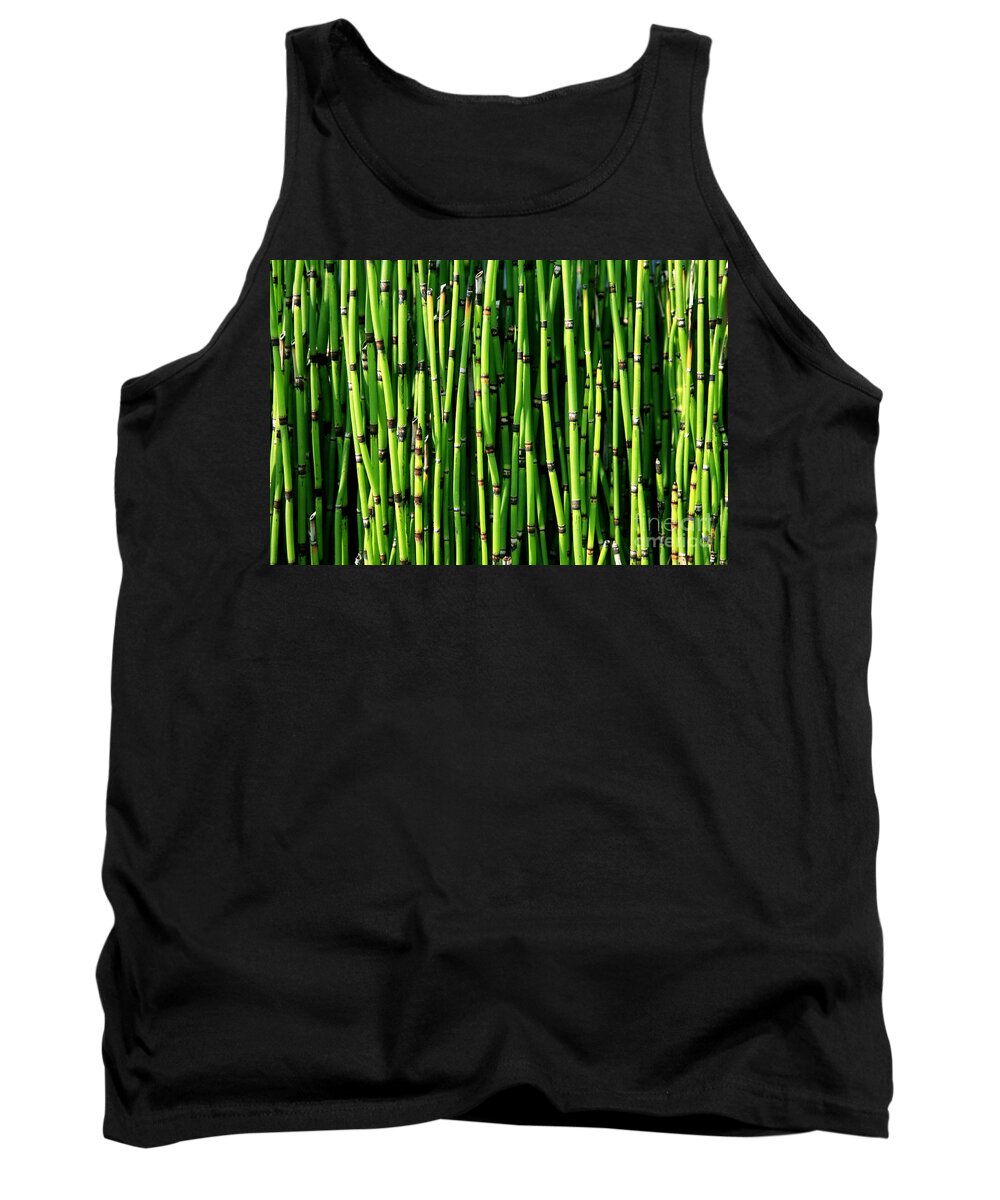 Bamboo Tank Top featuring the photograph Bamboo #1 by Timothy Johnson