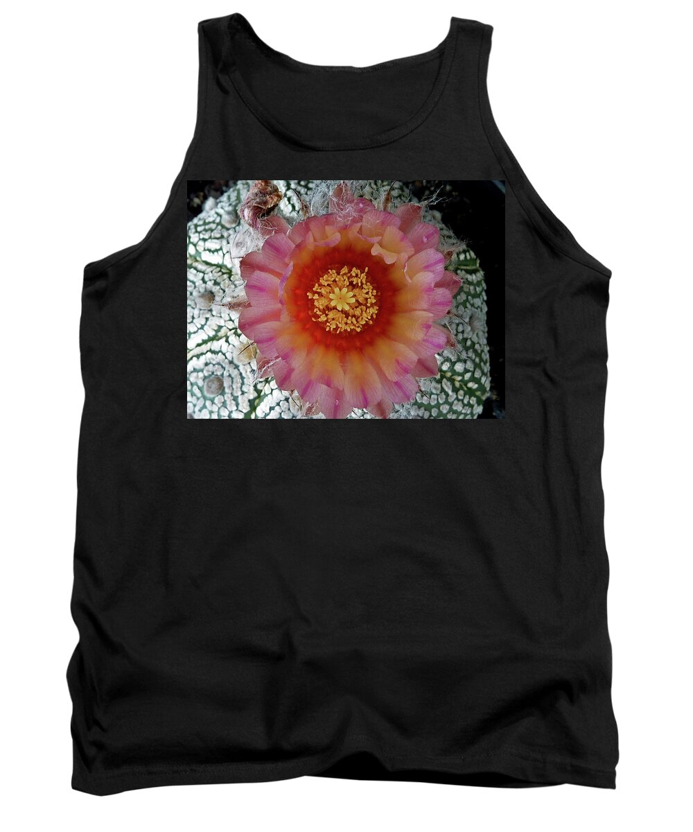 Cactus Tank Top featuring the photograph Cactus Flower 5 #1 by Selena Boron