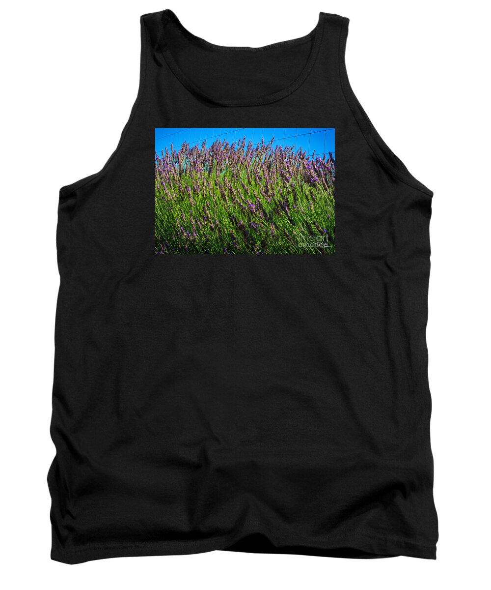 Flowers Tank Top featuring the photograph Country Lavender IV #1 by Shari Warren
