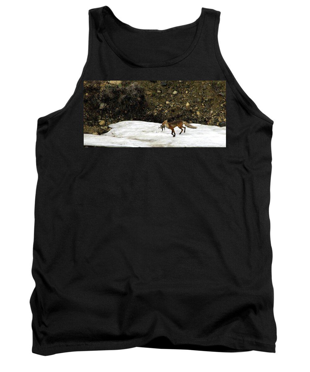 Fox Tank Top featuring the photograph Evening Catch #1 by Joseph Noonan