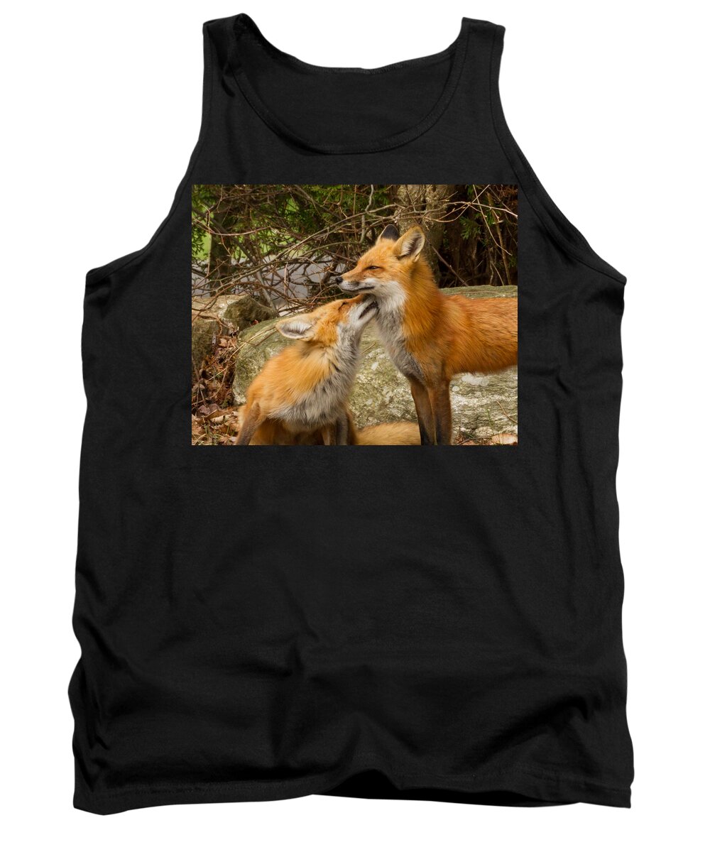 Brian Caldwell Tank Top featuring the photograph Foxes in Love #1 by Brian Caldwell