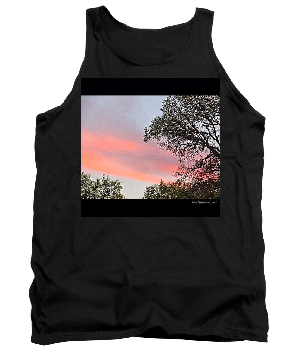 Beautiful Tank Top featuring the photograph Greetings From #austin! Happy Sunday! #1 by Austin Tuxedo Cat