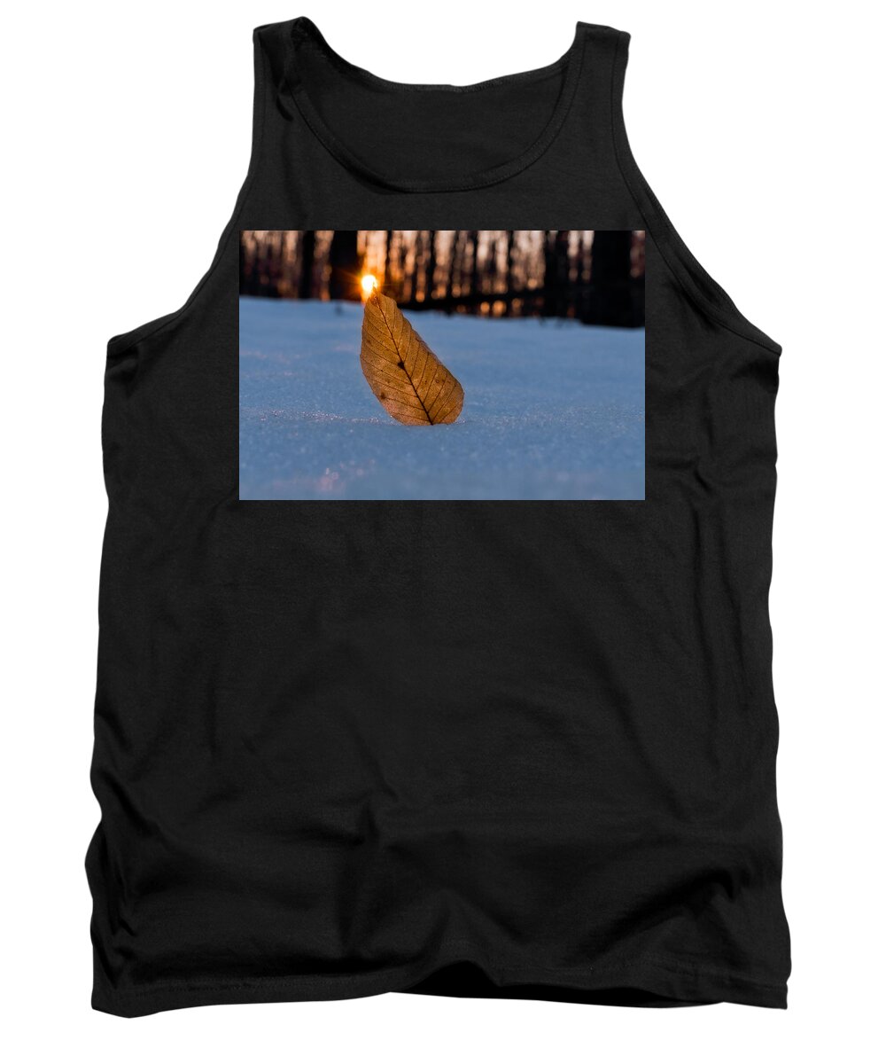 Sun Tank Top featuring the photograph Its the Small Things #1 by Craig Szymanski