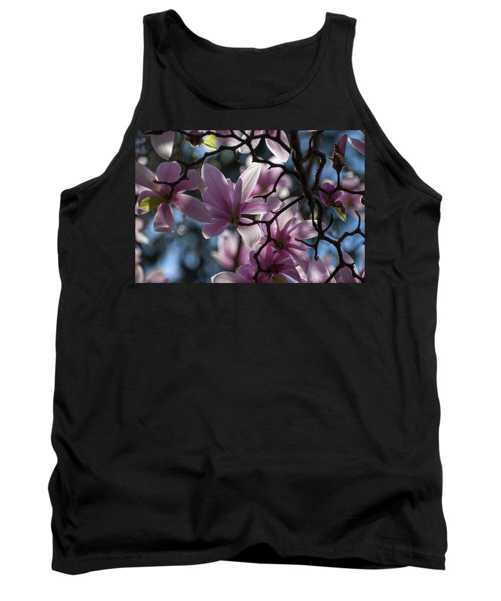 Magnolias Tank Top featuring the photograph Magnolia Net - by Julie Weber