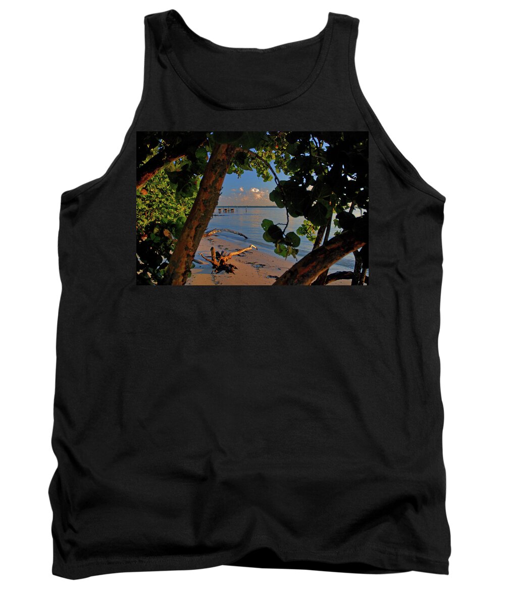 Lake Tank Top featuring the photograph 1- North Palm Beach by Joseph Keane