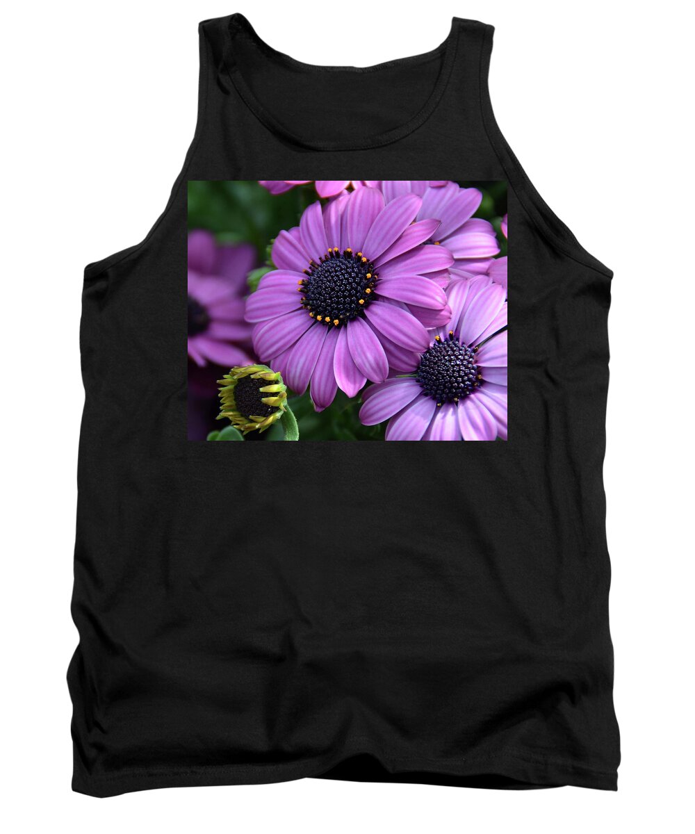 African Daisy Tank Top featuring the photograph African Daisy by Ronda Ryan