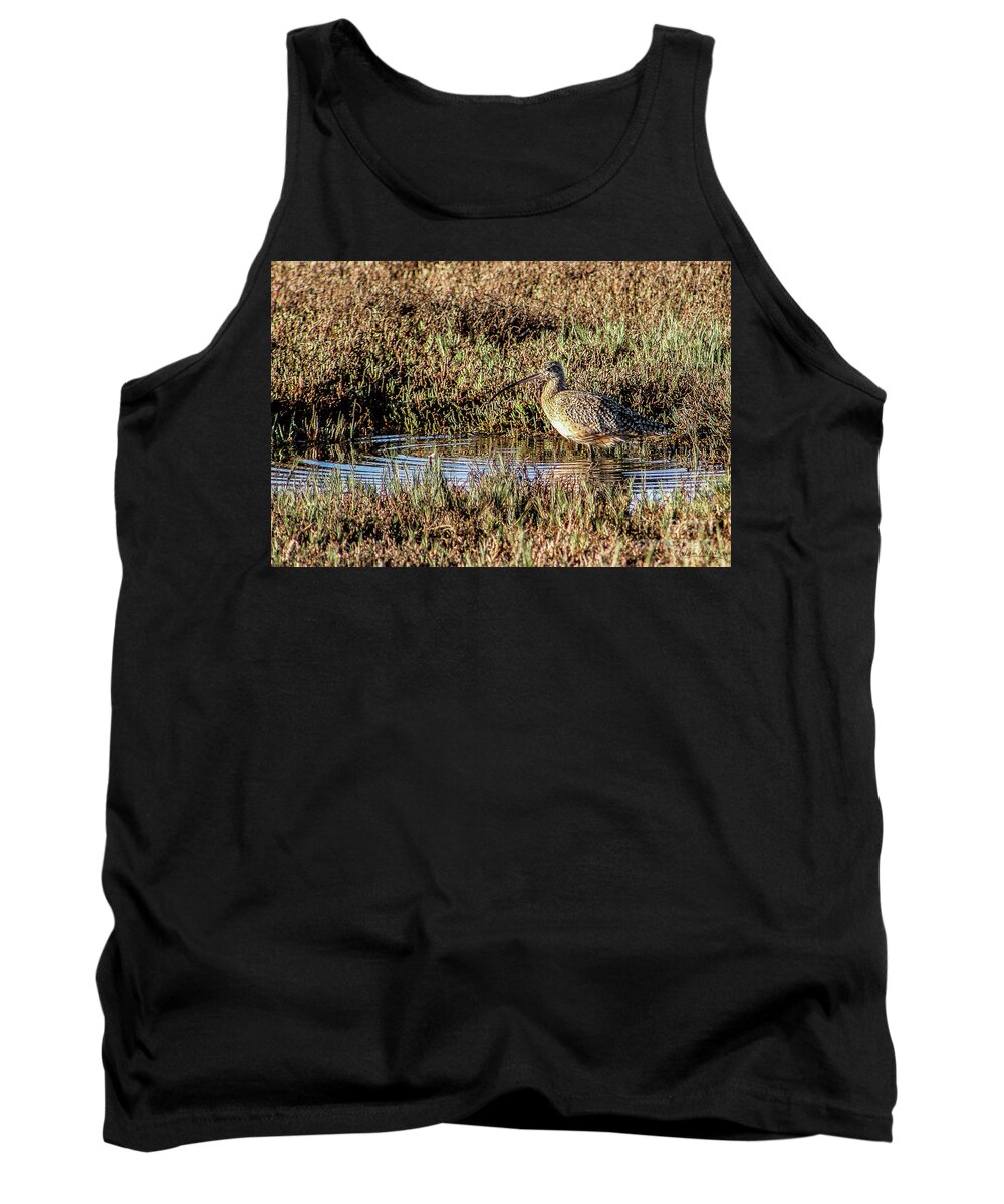 Bird Tank Top featuring the photograph Camouflage by Adam Morsa