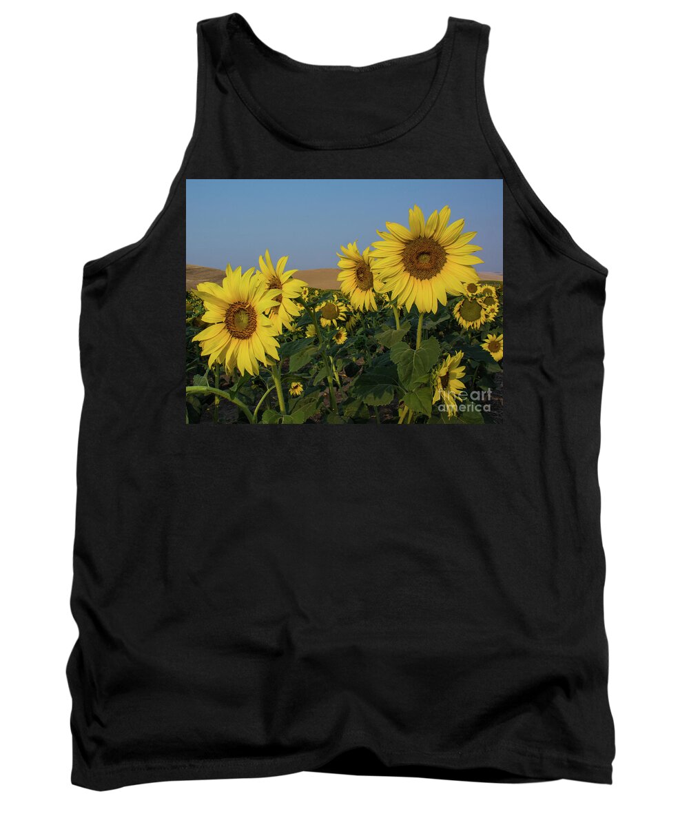Sunflowers Tank Top featuring the photograph Sunflowers in the Palouse #2 by John Greco